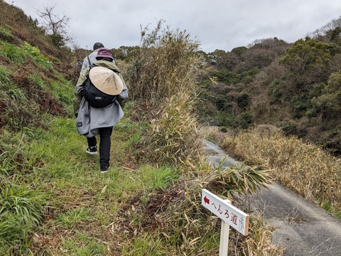 PXL_20240223_022716496