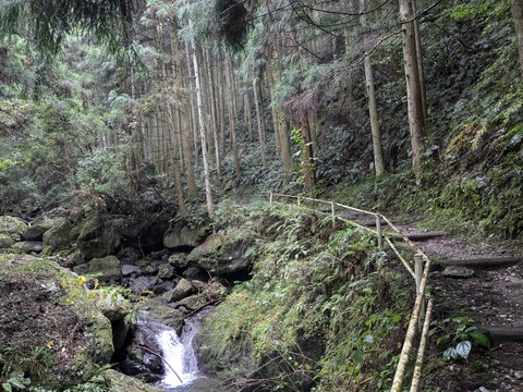 PXL_20241025_235716867