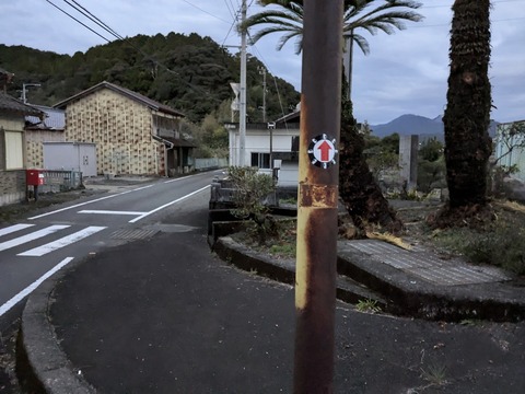 PXL_20241120_212406339