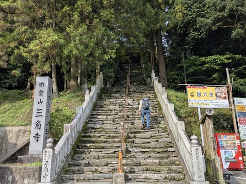 PXL_20251101_235557820