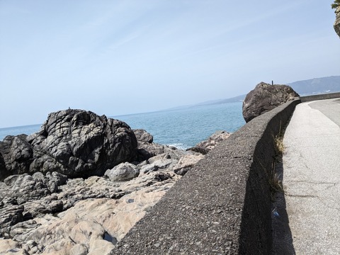 PXL_20240330_033148697