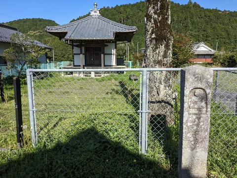 PXL_20240424_232639766