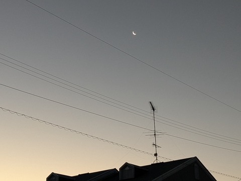 PXL_20251215_214217928