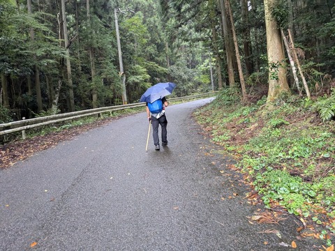 PXL_20241025_232409086