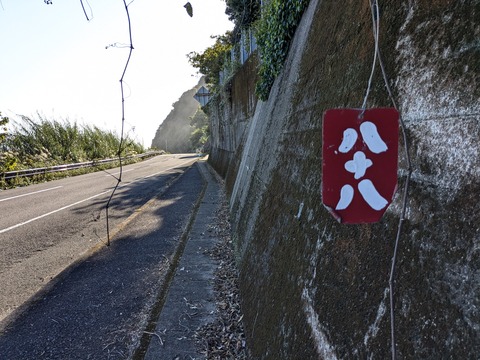 PXL_20241121_051025312.MP