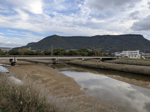 PXL_20251111_230840345