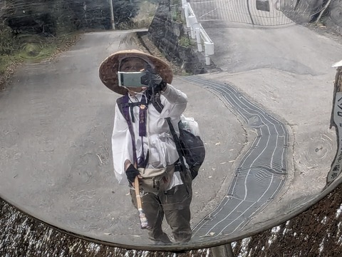 PXL_20240331_061227282