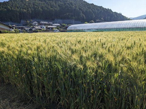 PXL_20240424_232352796