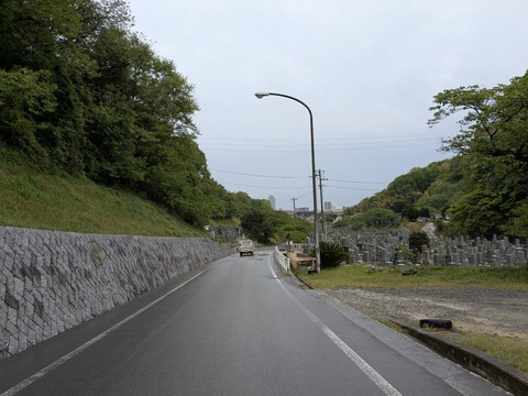 PXL_20250428_050707195