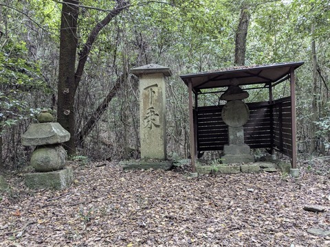 PXL_20241106_045715186