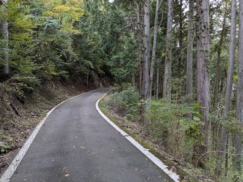 PXL_20251102_235104584