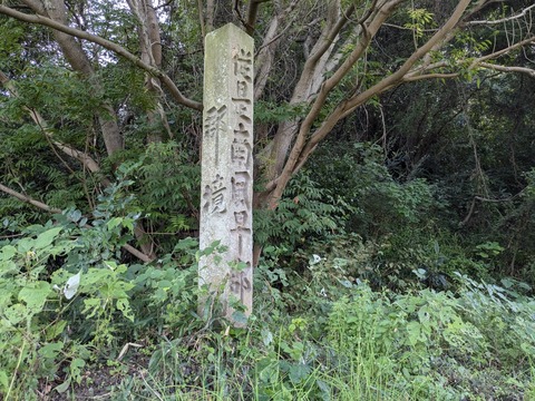 PXL_20241024_000316525