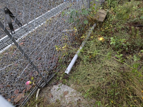 PXL_20241022_230525915