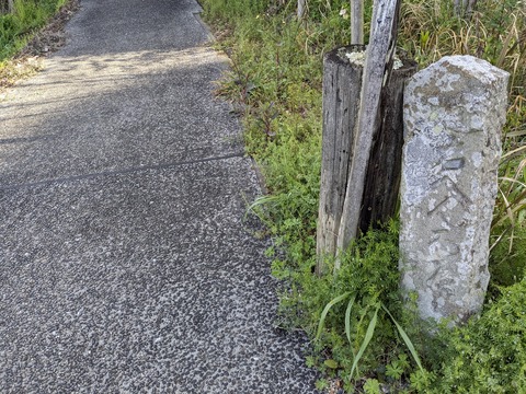 PXL_20240331_000040793.MP