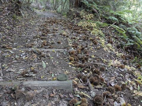 PXL_20251103_025733366