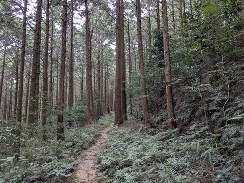 PXL_20251101_234403587