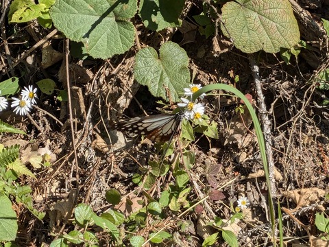 PXL_20241120_013857808