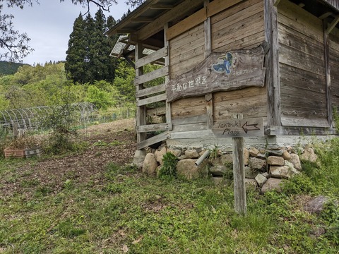 PXL_20240426_050943104