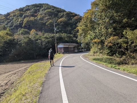 PXL_20251114_013151032