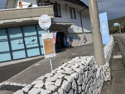 PXL_20251125_022904708