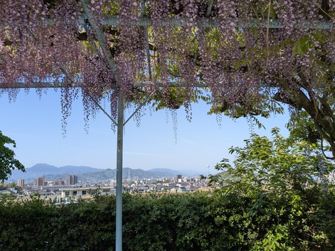 PXL_20250426_230638253