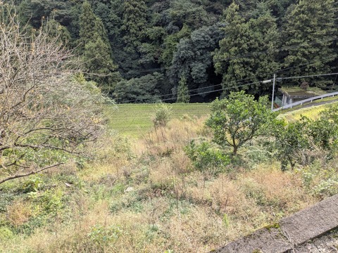 PXL_20251102_011237682