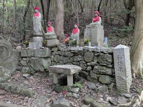 PXL_20251111_234355685