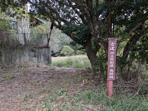 PXL_20241120_224159103