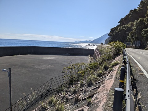 PXL_20241121_042015884