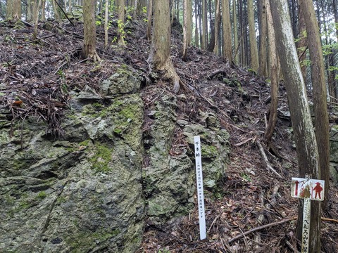 PXL_20240427_033901042