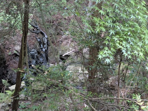 PXL_20250430_062521892