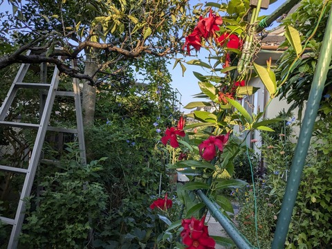 PXL_20240904_213905242