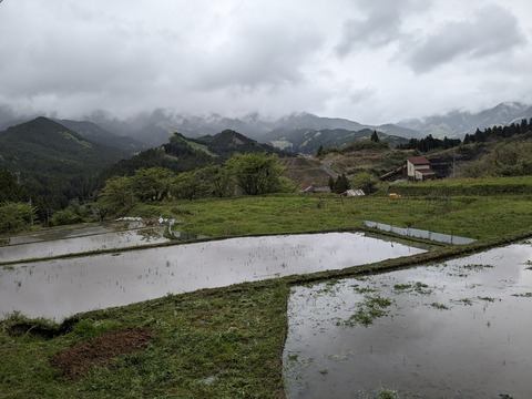 PXL_20240427_050903708