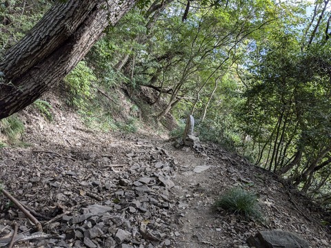 PXL_20241108_010236380