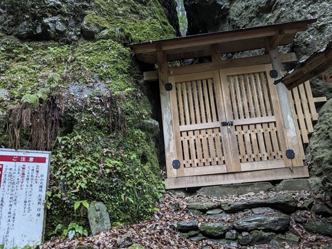 PXL_20240427_004627418