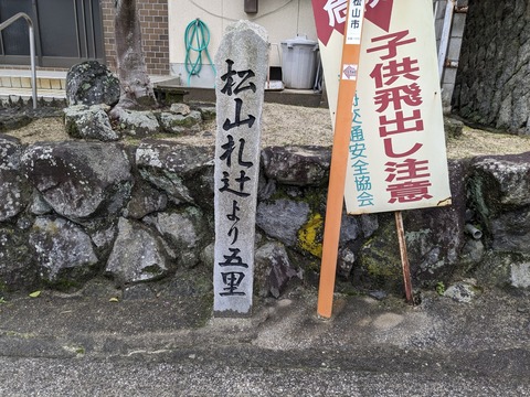 PXL_20240223_012347620