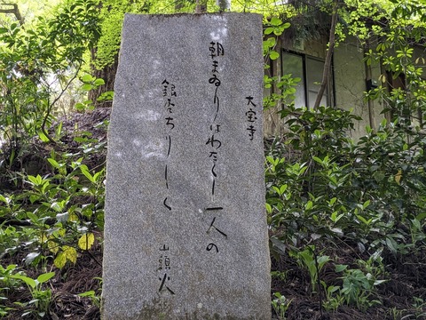 PXL_20240426_072132146