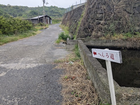 PXL_20250427_221938487