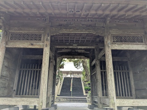 PXL_20251125_001758646