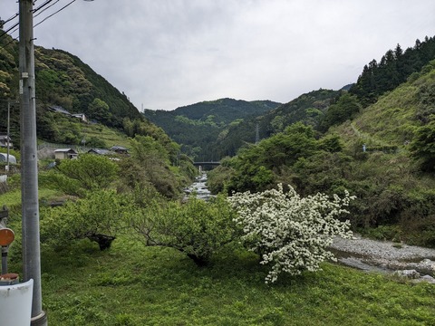 PXL_20240425_233104886