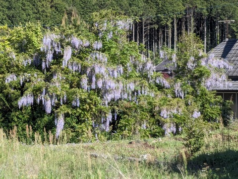 PXL_20240424_232656632