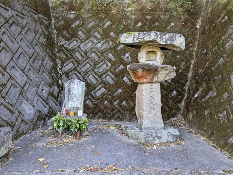 PXL_20251115_010002505