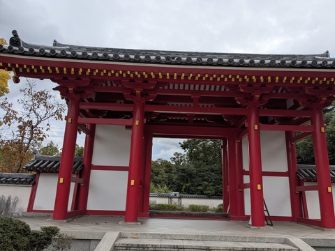 PXL_20251112_003707357