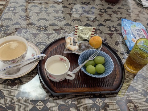 PXL_20241108_032239091