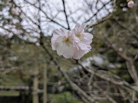 PXL_20251102_000456900