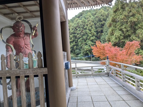 PXL_20251113_065114225