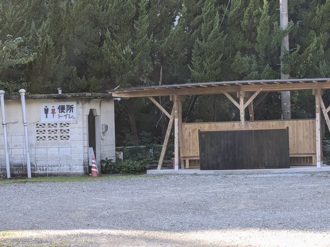 PXL_20241120_044507499