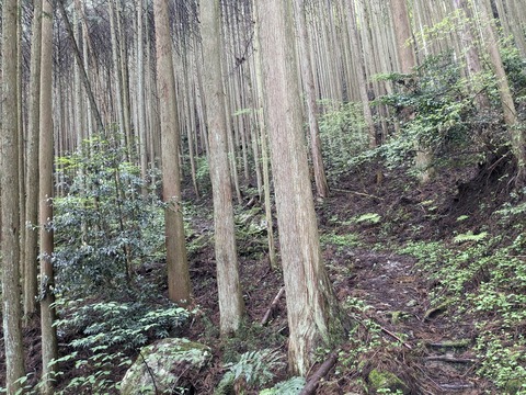 PXL_20240427_035947685