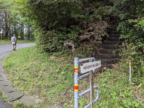 PXL_20240424_013519788