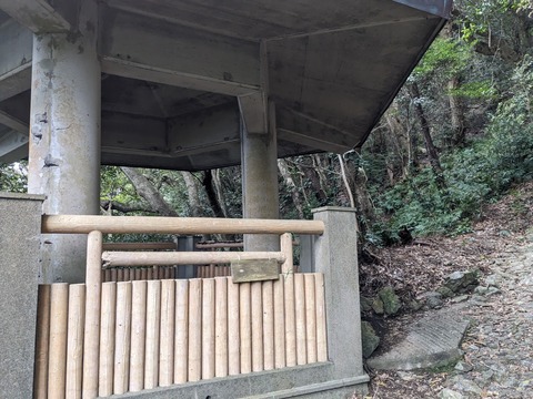 PXL_20240328_025823196